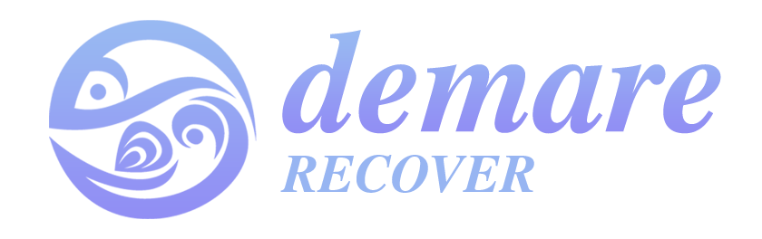 Demare Recover Logo Transparente Min